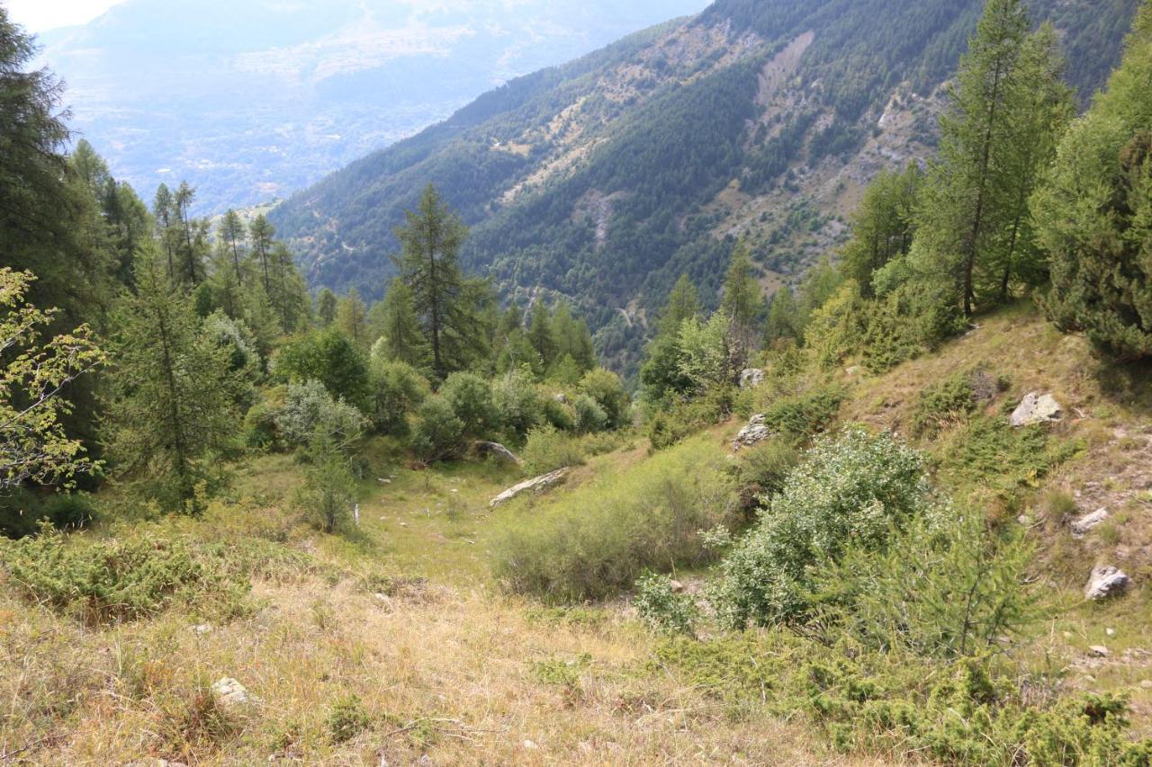 Au Départ Des Remontées Mécaniques - Briançon